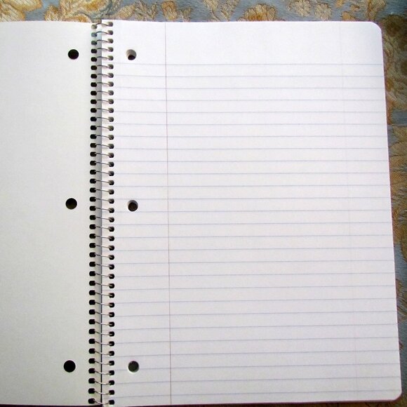 JACK SPARROW - PIRATES of the CARIBBEAN SPIRAL NOTEBOOK, NWOT, EXCELLENT UNUSED - Picture 3 of 5